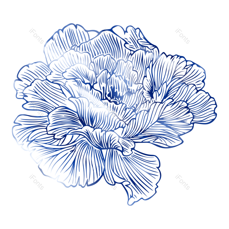 花朵素材图片,花朵线条元素,PNG,免抠素材